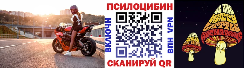 Галлюциногенные грибы Cubensis Саянск