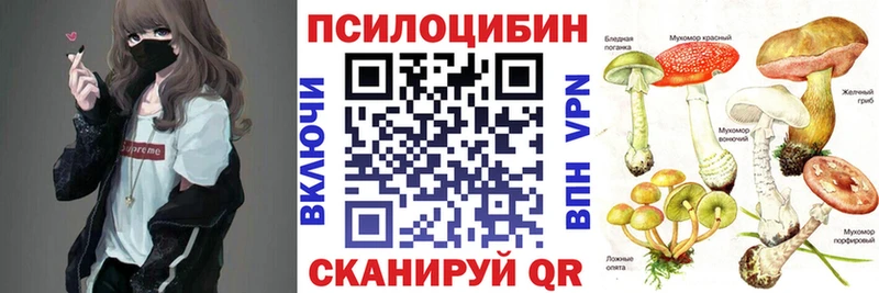 как найти Саянск Псилоцибиновые грибы ЛСД